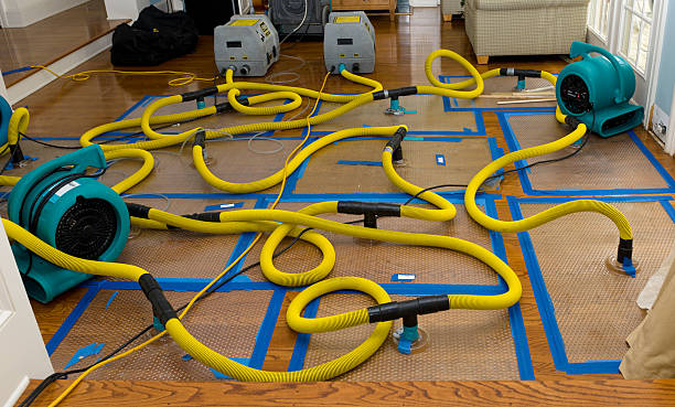 Professional Flood Damage Restoration technician working in Berwick, PA